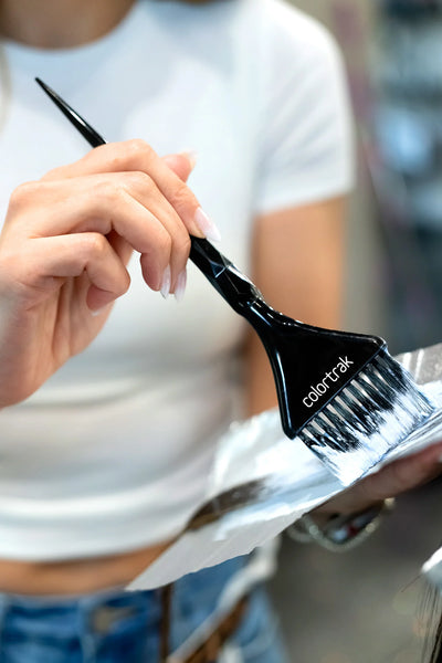 Black Diamond Hair Color Brushes - 2 Pack