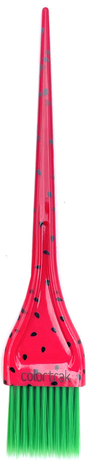 Summer Treats - Mini Feather Bristle Watermelon Brush