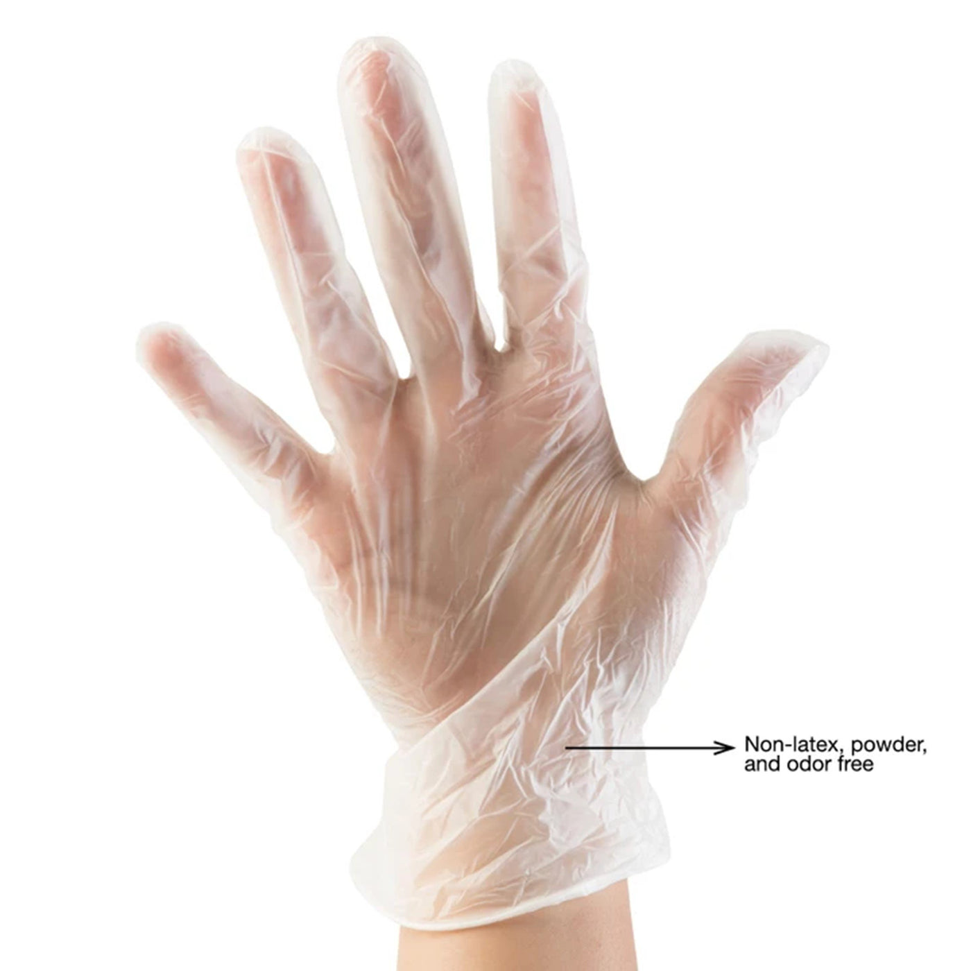 Clear Vinyl Disposable Gloves 100pk - Large